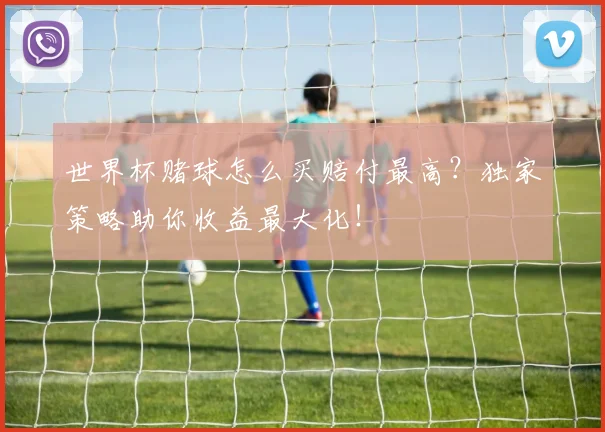 世界杯赌球怎么买赔付最高?独家策略助你收益最大化!