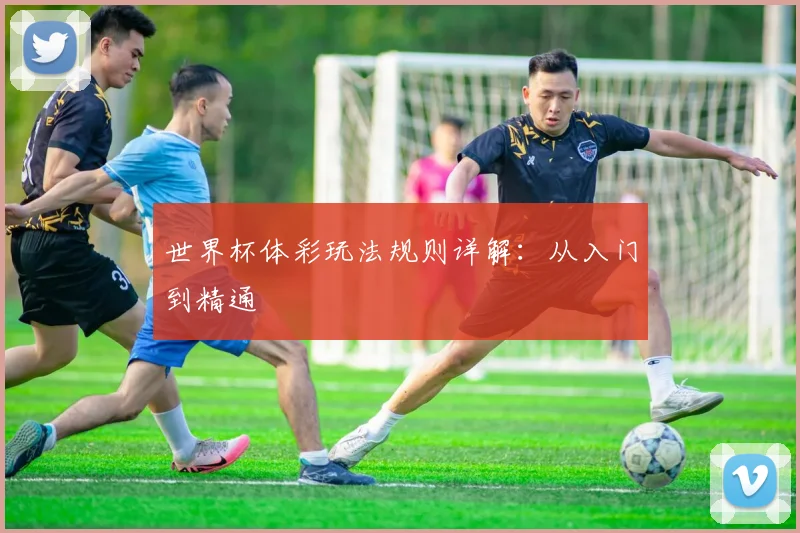 世界杯体彩玩法规则详解:从入门到精通