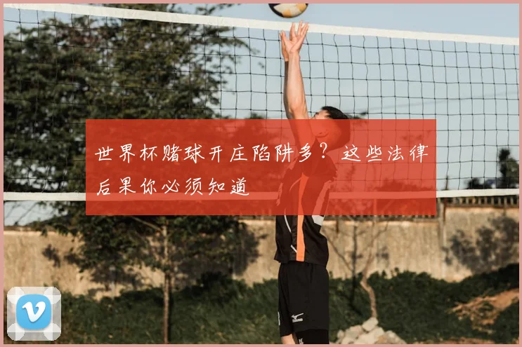 世界杯赌球开庄陷阱多?这些法律后果你必须知道