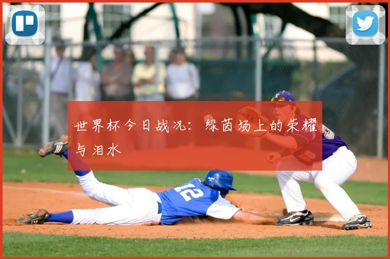 世界杯今日战况:绿茵场上的荣耀与泪水